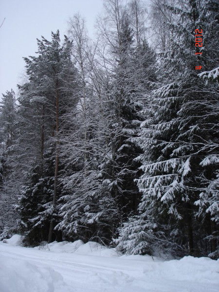 Сергей Салов