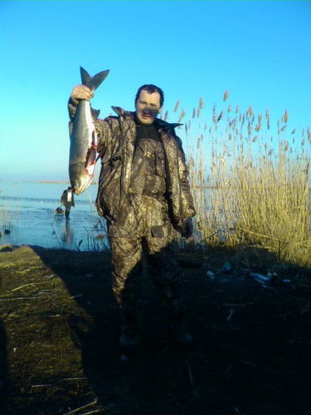 Максим Лукьянович