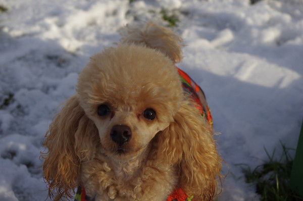 Татьяна Маркова