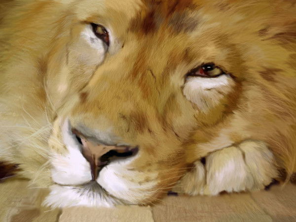 Виктор Марков