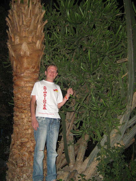 Андрей Авдюшев