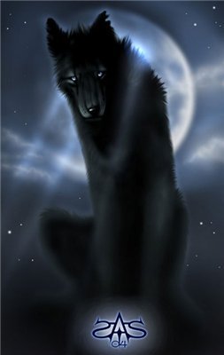 Александр Чупрыгин