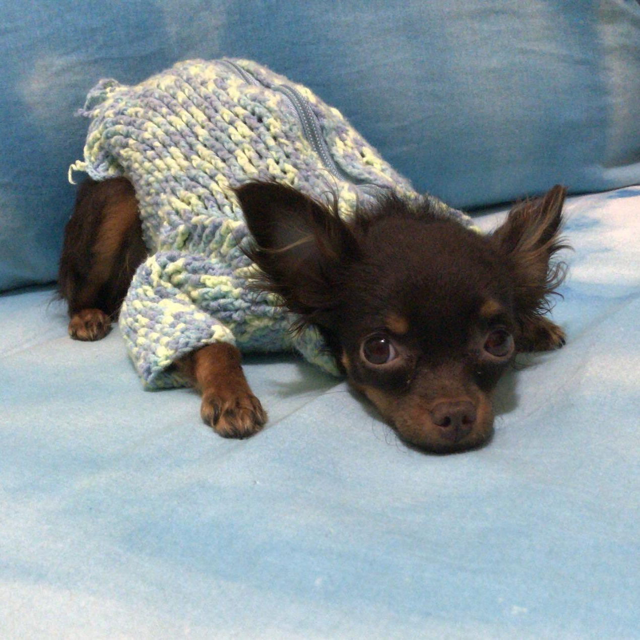 Ирина Лебедева