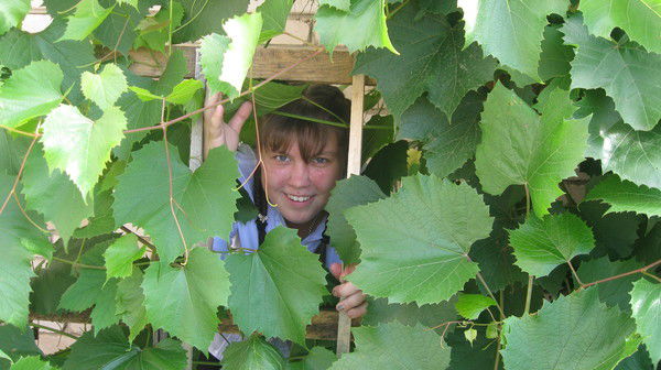 Елена Епифанцева