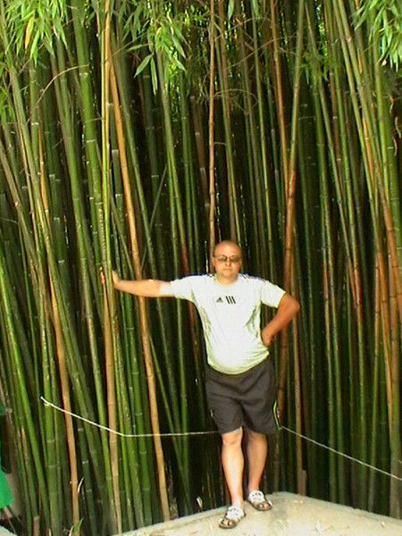 Юрий Добриков