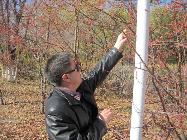 Алибек ********