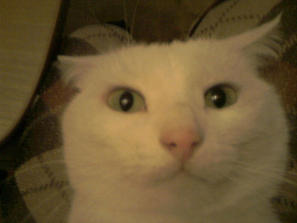 Матанга Александровна