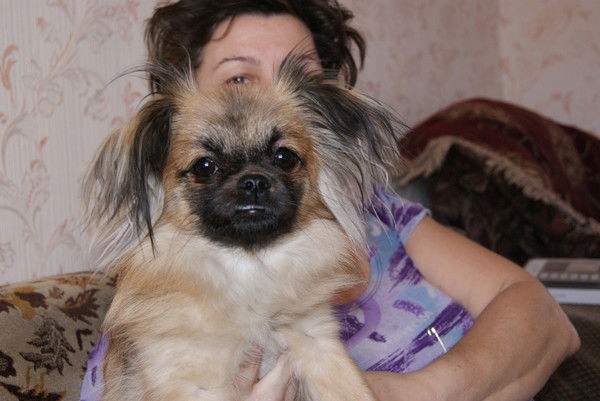 Надежда Андронникова