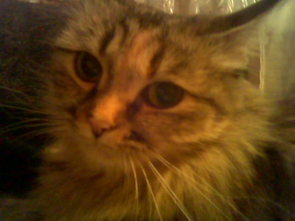 Наталья Дуракова