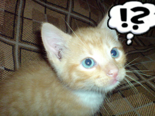 Алёна Мартынова