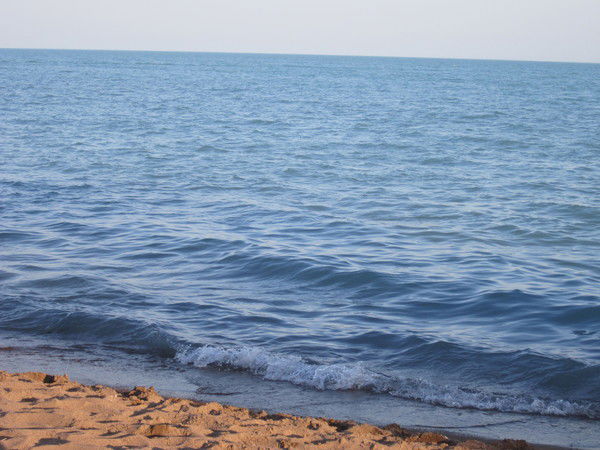 Александр Тюкин