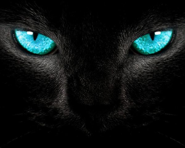 Даша Нургалей