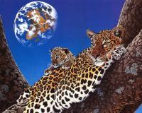 Елена Елохова