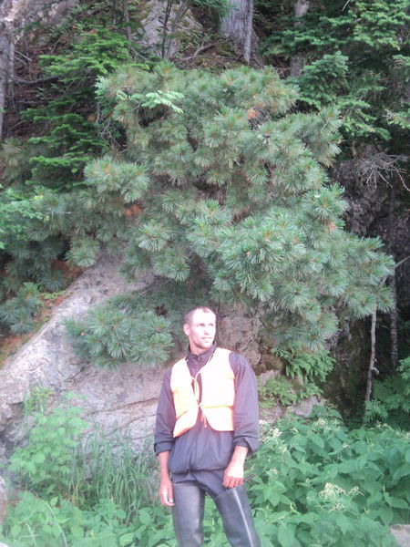 Герман Седищев