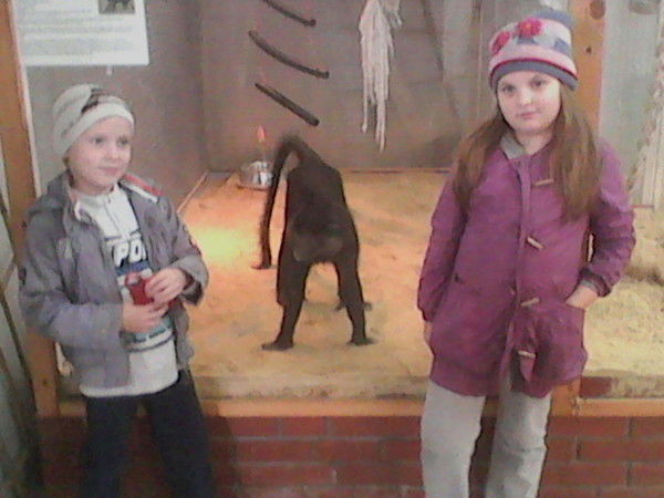 Влада Гондилова