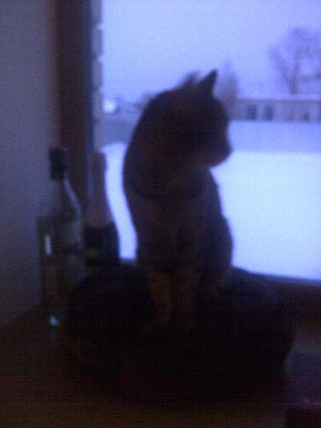 Иван Петров