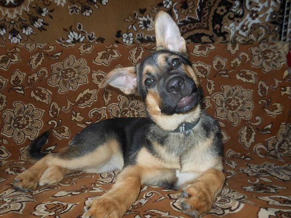 Надежда Завьялова