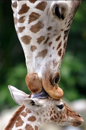 Ольга Дякова