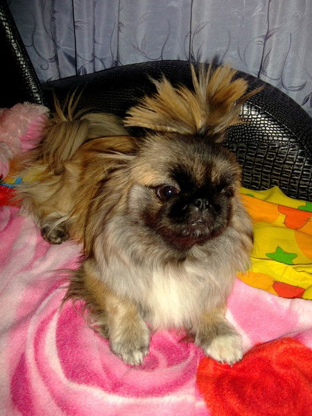 Сергей И Татьяна Богомоловы