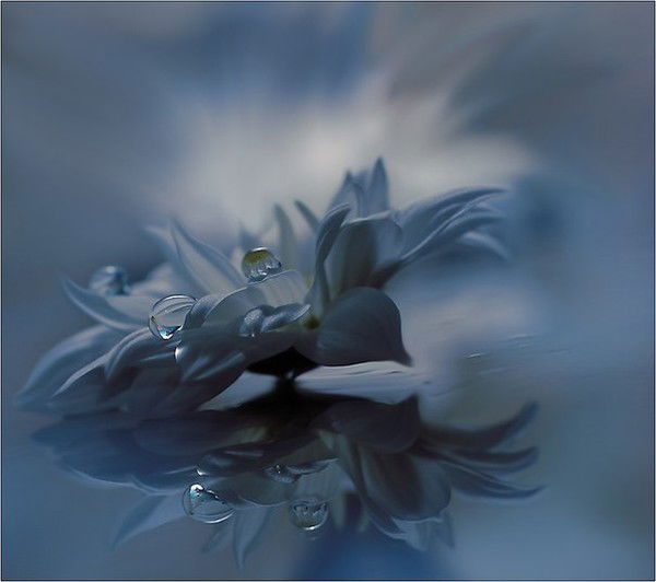 Екатерина Ионичева