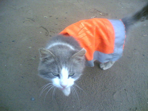 Николай Миронов