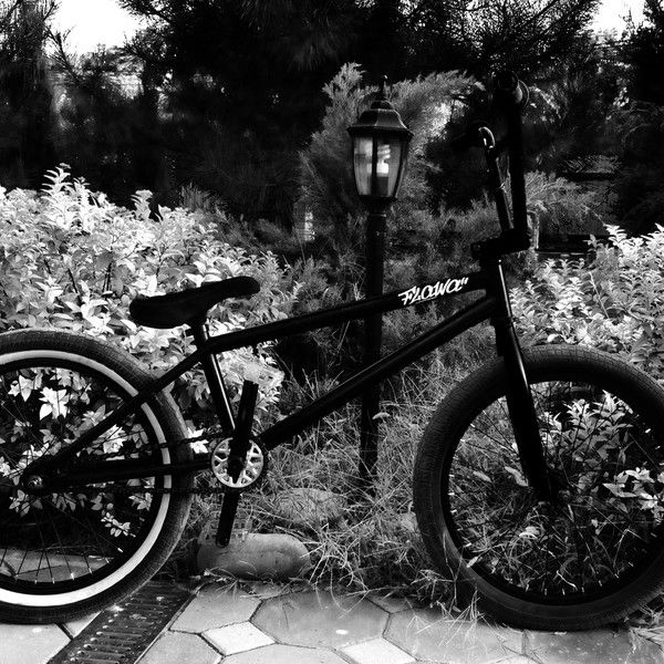 Максим Гусев