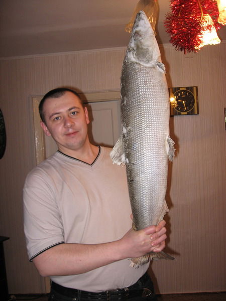 Игорь Яскевич