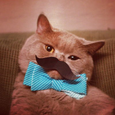 Андрій Максимець