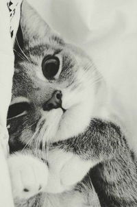 Александра Максимова