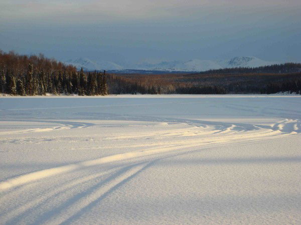 Марина Воронова