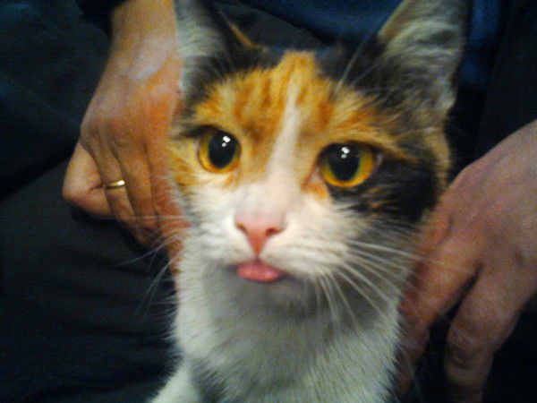 Димон Спицын