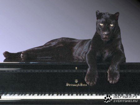 Оксана Змеу