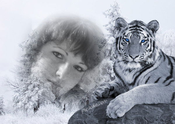 Елена Ленивенко