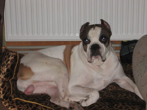 Сергей Шашков