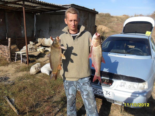 Алексей Приходченко