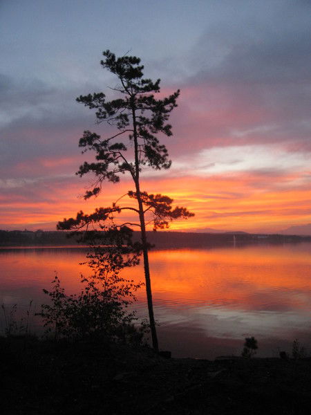 Кирилл Перфилов