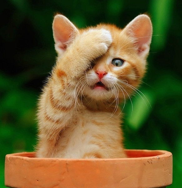 Лена Сизова