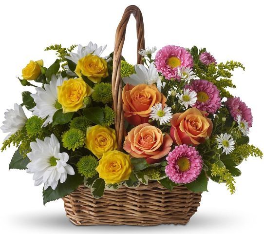 Анатолий Давыдов