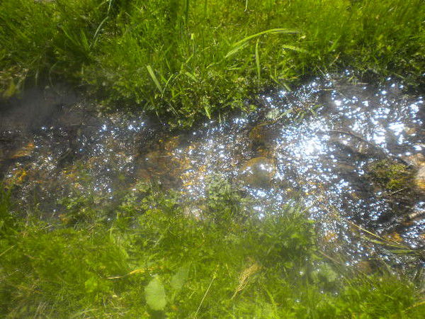 Зиля Ишдавлетова