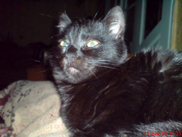 Ольга Жолик