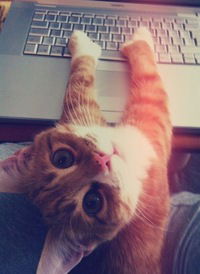 Саша Боярин