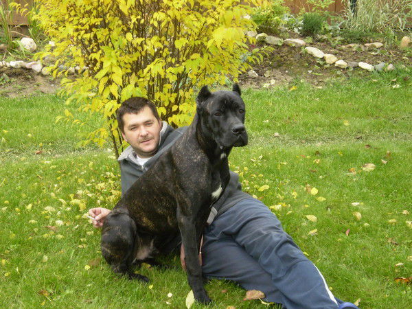 Родион Вершинин