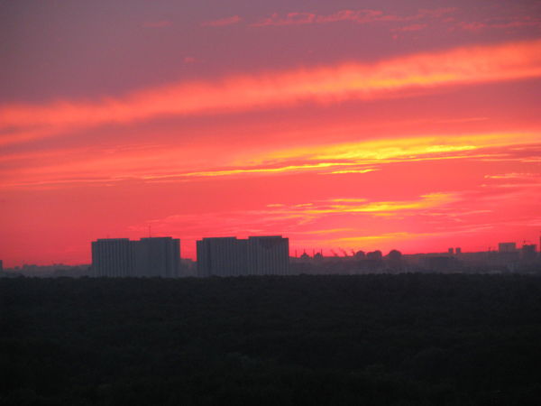 Дмитрий Иванов