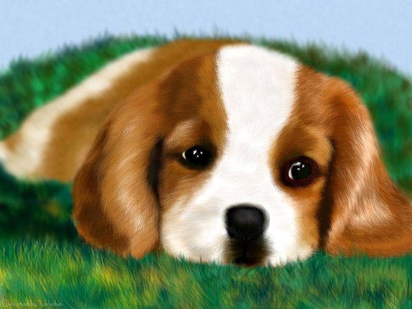 Александр Глазков