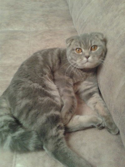 Кристина Коваль