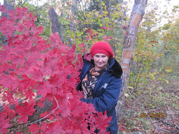 Елена Фисенко