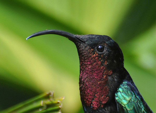 Мария Шмелева