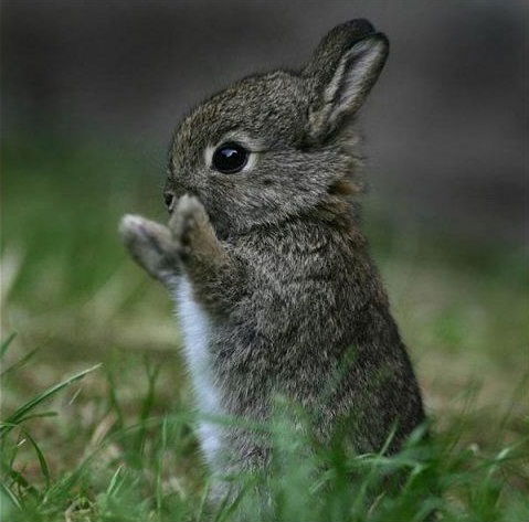 Егор Старовойтов