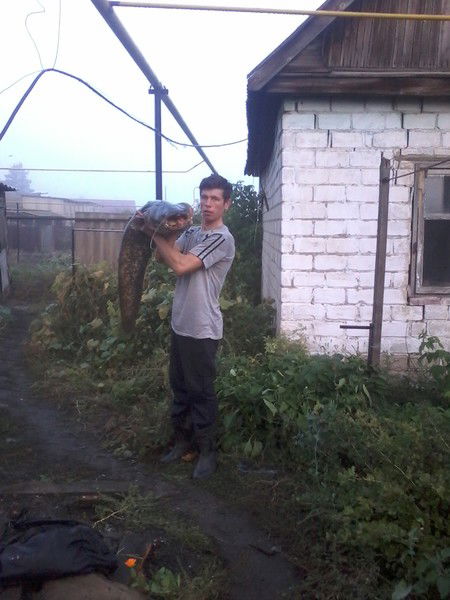 Женя Шаульский