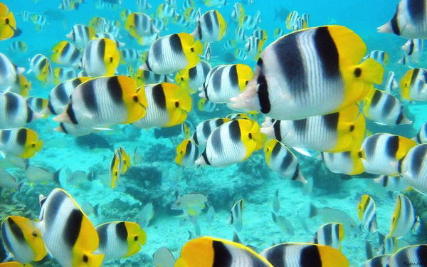 Жайнар Астанаева